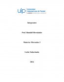 Creacion de producto de leche saborizada