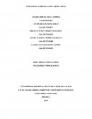 Informe poligonal cerrada