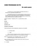 COMO PROGRAMAR UN PIC