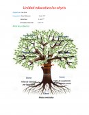 Unidad educativa los shyris Asignatura: cine-foro