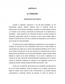 CAPITULO I PRODUCCION DEL POLLO DOMESTICO