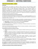 UNIDAD 5 – SISTEMA NERVIOSO. Comunicación intercelular – Audisio