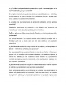 Cuál fue la primera forma de protección o ayuda a los necesitados en la de la Edad Media y en qué consistió?