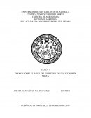 ENSAYO SOBRE EL PAPEL DEL GOBIERNO EN UNA ECONOMÍA MIXTA