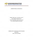 INFORME PERICIAL PSICOLOGICO