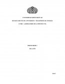 PREINFORME 2 BALASTO