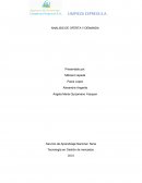 ANALISIS DE OFERTA Y DEMANDA Limpieza Express S.A