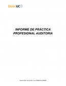 INFORME DE PRÁCTICA PROFESIONAL AUDITORIA