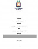 Análisis de Puesto (Trabajo Final)