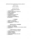 IMPARICION DE JUSTICIA