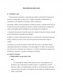INFORME REGISTROS DE INDUCCION