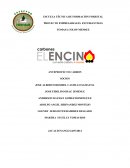 Empresas. ANTEPROYECTO CARBON