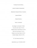 Sistemas Electrónicos Practica 1: Rectificador