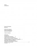 Ensayo sostenibilidad. Ecourbanismo