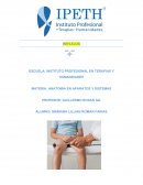 REFLEJOS. ANATOMIA EN APARATOS Y SISTEMAS