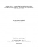 IMPLEMENTACIÓN DE HUERTAS CASERAS PARA EL MEJORAMIENTO DE LA DISPONIBILIDAD DE LOS ALIMENTOS Y LA CALIDAD DE VIDA DE LA POBLACIÓN, BARRANQUILLA 2018-2020