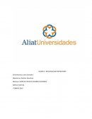 SESION 3. INVESTIGACION PARTICIPANTE