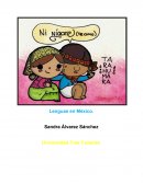 Lenguas en México