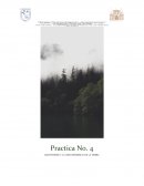 Practica de física. Medidas directas