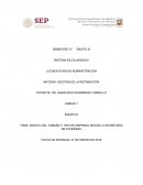 Tamaño y tipo de empresa según la SE