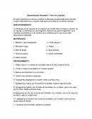 Experimentos Densidad – Torre de Líquidos