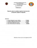 Reporte del análisis orgánico de la benzocaina