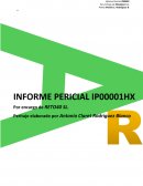 Peritaje Informatico