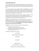 La organización política y social