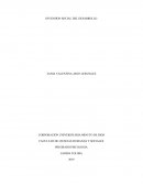 INVENCION SOCIAL DEL DESARROLLO