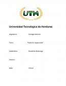 Audicion Responsable