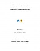 ENSAYO “DERECHOS FUNDAMENTALES” FUNDACIÓN TECNOLÓGICA ANTONIO DE ARÉVALO