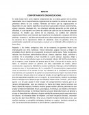 Análisis general de los temas relacionados con el comportamiento organizacional