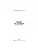 Proyecto de producir los documentos organización SIPROINTEGRAL SAS