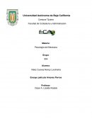 Ensayo película Amores Perros