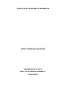 BENEFICIOS DE LOS SISTEMAS DE INFORMACIÓN