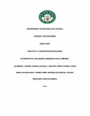 PRACTICA 3: ESFERIFICACIÓN INVERSA