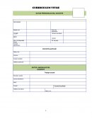 CURRICULUM VITAE MAESTRIA