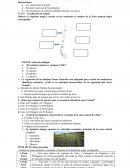 Prueba: Zonas naturales de Chile