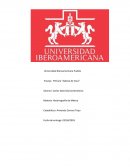 Ensayo de Película Cabeza de Vaca