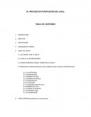 Proceso de purificación del agua