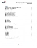 Automatización de los sistemas de registro, Control y asignación de Medicamentos e Insumos al Personal administrativo, Medico y Enfermeras del Hospital Escuela en Tegucigalpa