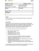 Actividad 1 etapas de la vida