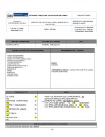PROJECT MANAGER TECHNICAL LEADER. Página 1
