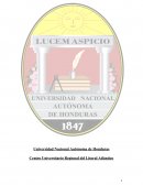 Diagnóstico de clima laboral