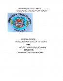 Abonos e insecticidas naturales