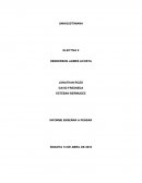 INFORME ENSEÑAR A PENSAR