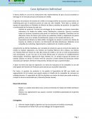 Caso Aplicativo Individual . El banco Andino