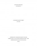 ESTUDIO DE MERCADO . Comportamiento de los costos