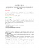 PRÁCTICA NÚM. 2 SEPARACIÓN DE FOSFOLÍPIDOS POR CROMATOGRAFÍA EN CAPA FINA