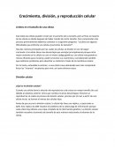 Crecimiento, división, y reproducción celular